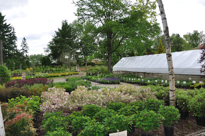 Reedurban Nursery